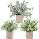 Der Rose 3 Pack Mini Potted Fake Plants Artificial Plastic Eucalyptus Plants Topiaries for Home Office Desk Farmhouse Room Bathroom Decor