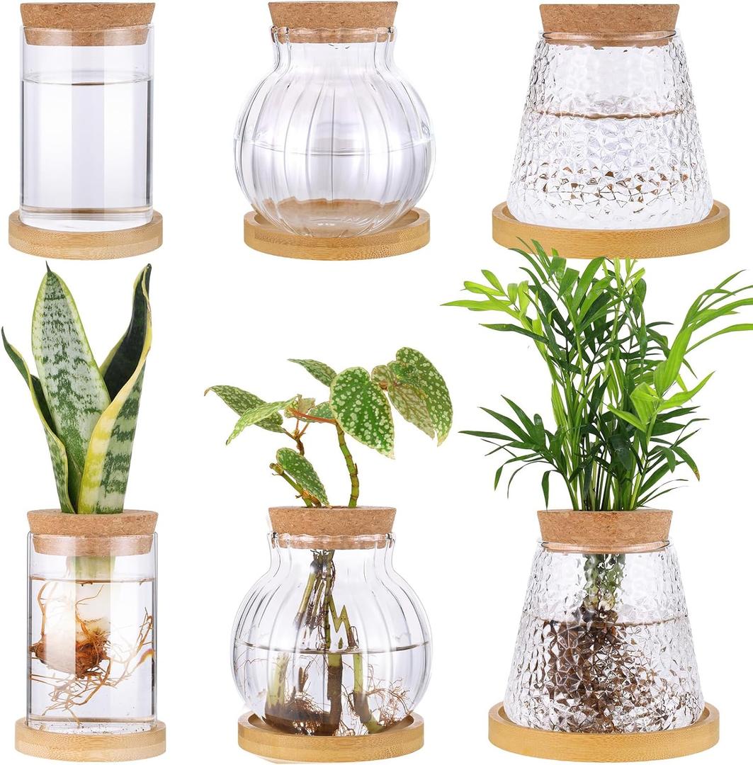 6 Pcs Plants Propagation Station Separated Desktop Glass Plant Terrarium with Wood Lid and Tray, 3 Sizes Hydroponics Plants Jars Water Planting Vases for Indoor Home Tabletop Decor