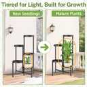 iDavosic.ly Plant Stand Indoor Outdoor, 5 Tier Corner Metal Flower Display Holder Shelf, Folding Tall Orchid Rack for Patio Balcony Porch Garden Living Room House, Black
