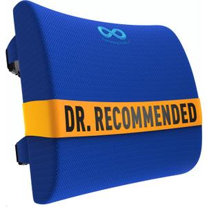 Everlasting Comfort Lumbar Support Pillow for Office Chair - Memory Foam Back Cushion for Car Seat - Promotes Better Posture, Back Pain Relief - Ideal Gaming and Desk Chairs Work and Home Essentials