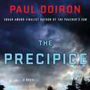 The Precipice: A Novel (Mike Bowditch Mysteries)