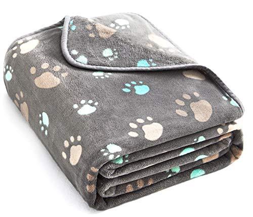 Amazon.com : Allisandro 350 GSM-Super Soft and Premium Fuzzy Flannel Fleece Pet Dog Blanket, The Cute Print Design Washable Fluffy Blanket for Puppy Cat Kitten Indoor Outdoor, Grey, 40 x 32 Inches : Pet Supplies