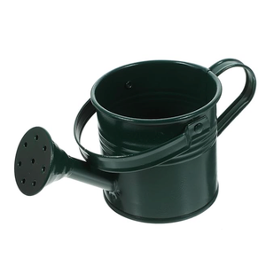 Garneck Mini Watering Can for Small Indoor Plants: 5 Pack Iron Metal Water Pot with Long Spout Colorful Tiny Plant Waterer for House Garden Flower Kids Gardening Present and Outdoor Use