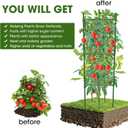 3 Pack Tomato Cage,Tomato Cage for Raised Garden Bed, 48'' Tall Tomato Trellis Triangle or Square Cages for Garden,Pots, Plant Cages & SupportsGreen, Extra Bold