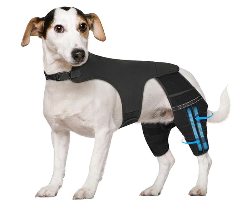 Marnonsis Dog Leg Braces for Torn ACL Hind Leg, with 4 Metal Stabilizers Support,Adjustable Dog Knee Braces for Back Leg, CCL, Luxating Patella, Ligament Injuries, Hip Dysplasia, L