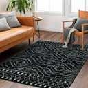 Wonnitar Moroccan Washable Rug 4x6, Black Boho Living Room Area Rug, Non-Slip Farmhouse Bedroom Carpet Dorm Room Throw Rug, Low Pile Soft Accent Mat for Kitchen Entry Office (Black,4'x6')