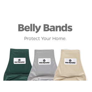 Pet Parents Premium Washable Belly Bands for Male Dogs & Extendrs, (3pack) of Dog Diapers Male, Male Dog Wraps, High Absorbing Male Dog Diapers, Spruce, LargeMale Dog Belly Bands