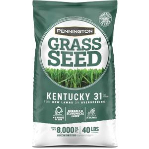 Pennington Kentucky 31 Tall Fescue Penkoted Grass Seed 40 lbs