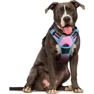rabbitgoo Dog Harness No Pull with 2 Leash Clips, Adjustable Soft Padded, Reflective Oxford No Choke Pet Vest with Easy Control Handle for Large Dogs, Pink & Blue, L