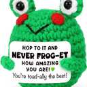 2 x Mini Frog Crochet Teacher Appreciation Gifts for Teachers, Mothers Day Gifts for Mom from Daughter Son, Cute Crochet for Mothers Day Decorations, Inspirational Gift Ideas for Friends, Coworkers