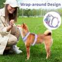 No Pull Dog Harness and Leash Set,Adjustable Dog Vest Harness for Small Medium Large Size Dogs,Breathable and Soft Escape-Proof Puppy Harness with 2 Buckles (Purple)