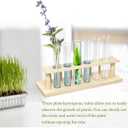 15Pcs Glass Tubes for Plants, Plant Propagation Tube Test Tubes for Scientific Experiments 20 ml Glass Test Tubes for Hydroponic Plants, Home Office Wall Decor (12cm)