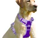 BARKBAY No Pull Dog Harness Front Clip Heavy Duty Reflective Easy Control Handle for Large Dog Walking(Violet Purple & Purple,XS) (X-Small(Chest:15.5-19.5))