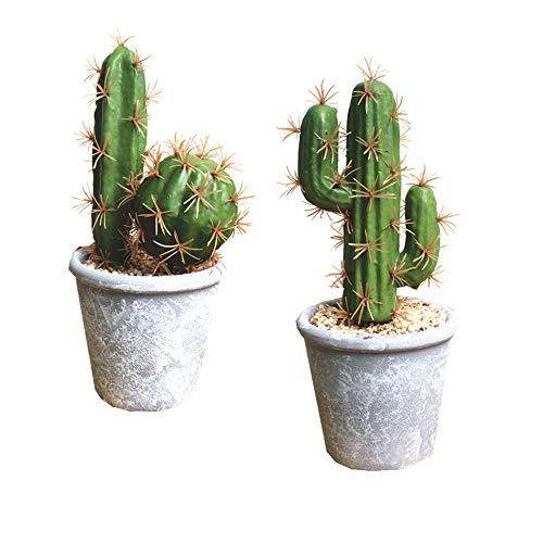 Fycooler Artificial Succulent Plants Faux Cactus Decorative Succulents Potted Fake Cacti with Gray Pots Artificial Cactus for Bathroom/Home Decor House Decorations(B Set)