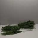 Jutom Christmas Norfolk Pine Branches, Artificial Norfolk Branch Faux Plants Greenery Stem Pine Picks for Christmas Vase DIY Crafts Centerpiece Garland Wreath Home Decor(12 Pcs,30 Inches)