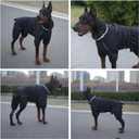 Winter Waterproof Dog Snowsuit  Full Body Outdoor Jacket with Leash Ring, Fleece Lining, Windproof Reflective 4-Leg Dog Coat for Small to Large Dogs Black 3XL (3XL (Back Length 21.5"))