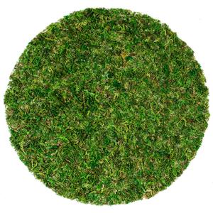 SuperMoss (26315) Moss Soil Toppers (Place Mats), Fresh Green, 12" (3 units) SuperMoss (26315) Moss Soil Toppers (Place Mats), Fresh Green, 12" (3 units)