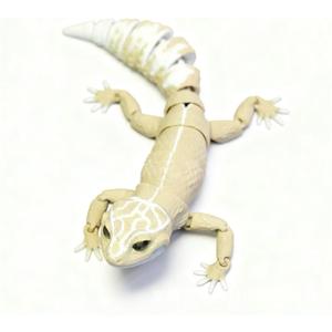 3D Printed Leopard Gecko Figurine, Movable Lizard Sculpture for Home Decor, Realistic Reptile Collectible Desk Ornament, Articulated Gecko Model for Reptile Lovers and Collectors