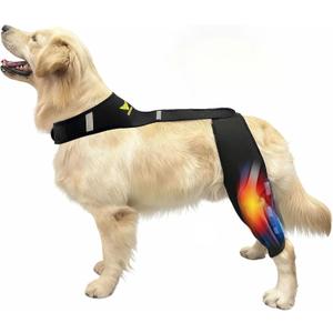 Dog Knee Brace for Torn ACL Hind Leg - Professional Recovery Support, Patented Double Strap System & Flexible Splints Stabilize Joint, Promotes Healing & Mobility (M) 20-40Lb