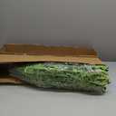 Single Silky Artificial Boston Fern Bush, 49Inch Large Artificial Ferns for Outdoors, Large Faux Ferns Artificial Plants,Suitable for Decorating Office, Living Room Faux Greenery,95Branches