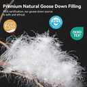 L LOVSOUL 75% Goose Down Fiber Comforter Queen Size, 850+ Fill Power Hotel Style Bedding Comforter, 1200TC, Fluffy Ultra Soft All Season White Duvet Insert with 8 Corner Tabs