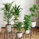 5-Pack Metal Plant Stands for Outdoor Indoor, Anti-Rust Iron Flower Pot Stand, Heavy Duty Plant Pot Shelf for Multiple Plant, Decoration Racks for Home, Patio & Garden (Black)