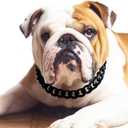 Cuban Link Dog Collar - 3/4 in Wide Metal Chain Dog Collar Venom Black, Designed Stunning Pet Accessory, Cute Luxury Jewelry Costume 22 inches