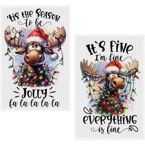 2 Pcs Funny Christmas Moose Kitchen Towels 16 x 24 Inch, Gifts for Moose Lovers, Decorative Hand Towel for Bathroom, Xmas Holiday Farmhouse Dish Tea Towels for Seasonal Kitchen Drying
