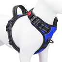PHOEPET No Pull Dog Harness Medium Reflective Front Clip Vest with Handle,Adjustable 2 Metal Rings 3 Buckles,[Easy to Put on & Take Off](M, Royal Blue) M