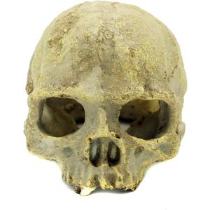 JIHAQUA Aquarium Resin Skull, Reptile Tank Accessories Ornament Basking Snake Hide Decor Habitat