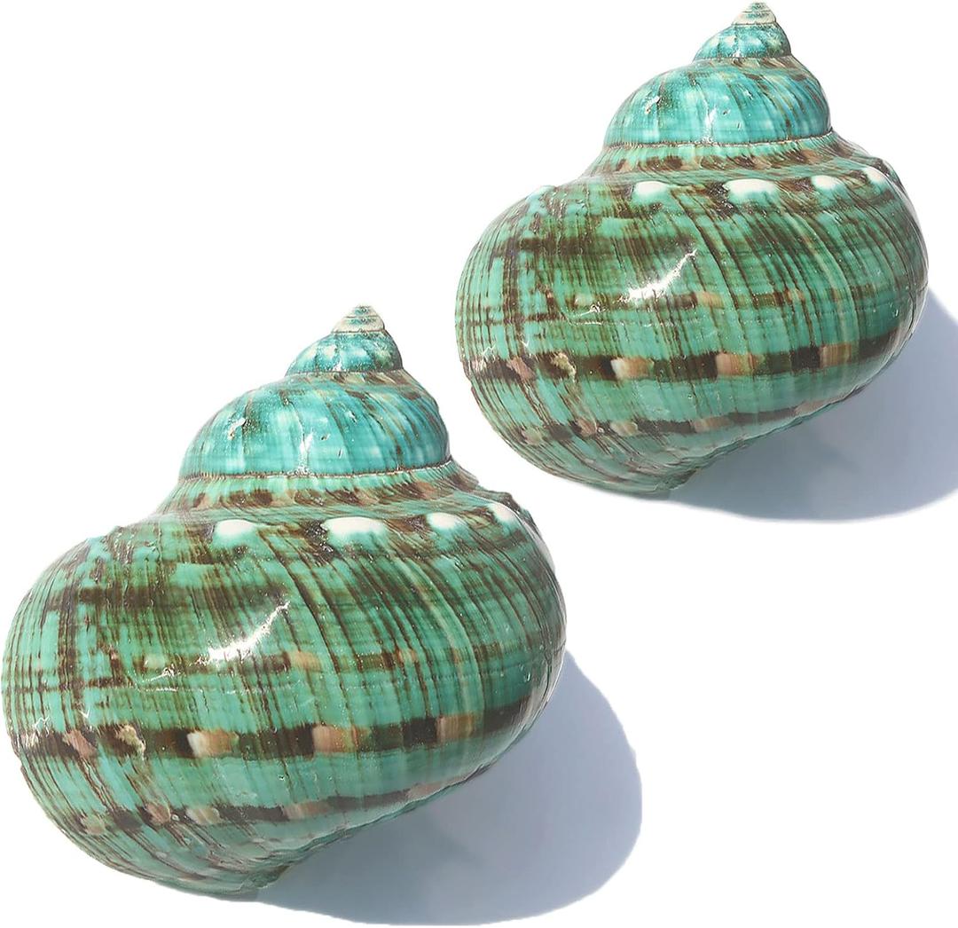 SINKOO Large Conch Shell 2PCS 4"-4.5" Natural Seashells for Hermit Crab Fish Tank Wedding Decor Beach Theme Party, Home Decorations,DIY Crafts