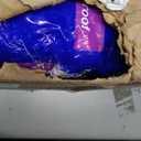 LivDry Adult XL Incontinence Underwear, Overnight Comfort Absorbency, Leak Protection, X-Large, 48-Pack