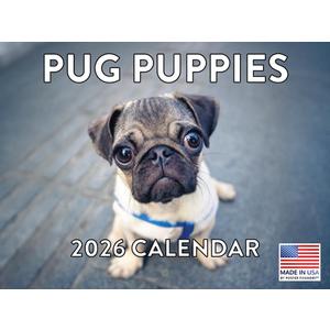Pug Calendar 2026 Wall Puppies Monthly Pugs Gifts For Pug Lovers For Women Men Children | American Made In The USA