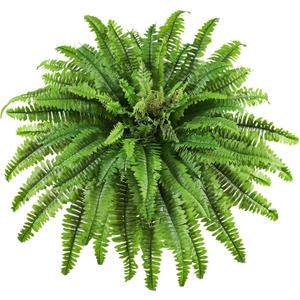 Artificial Ferns for Outdoors, 45 inch Fake Ferns Artificial Plants Large
63 Fronds, Lifelike, UV Resistant, Faux Boston Fern Ideal for Porch Planter Home Indoor Entrance Garden Windowsills Décor