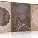 HOURIA Neutral Brown Tree Rings Framed Canvas Wall Art Set,Modern Beige Tan Wood Stump Wall Decor,Vintage Abstract Tree Spiral Art Print,Nature Black Artwork for Living Room,Bedroom,Office- 16"x24"x3