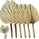RUENXG Dried Palm Leaves 6 Pcs Naturally Dried Palm Spears Bouquet for Boho Wedding, Tropical Home Decor, Table Arrangements  Eco-Friendly Handcrafted Palm Fans (13.8 2 Sizes)