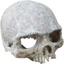 Hewnda Aquarium Decor Resin Artificial Head Skeleton Decoration - Aquarium Otaru Aquarium Decorative Cave Landscape Pet Reptile House