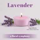 DEVI Pure Lavender Scented Tealight Candles 96Pack, Natural Palm Tea Lights Candles for Home Scented, 4 Hour Small Votives with Natural Essential Oils for Home Aromatherapy, Baby Shower Favors