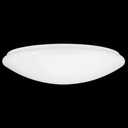 Luxrite Led17 Ceiling Light