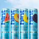 Hint Fruit-Infused Canned Water, Blackberry - Purified Flavored Water with Zero Calories, Natural Flavors, and Sugar Free - 12 Fl Oz Cans (Pack of 12) (EXP 07/18/27)