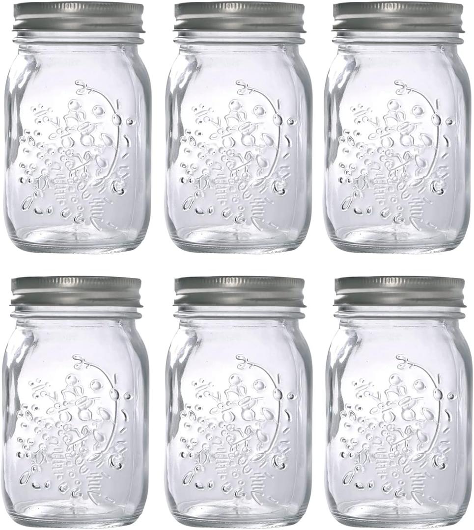 Hovico Mason Jars 17 oz With Regular Lids and Bands, Ideal for Jam,Dishwasher Safe Mason Jar for Fermenting, Kombucha, Kefir, Storing and Canning Uses, Clear- Set of 6