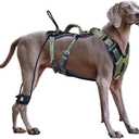 No Pull Dog Harness for Large Dogs, Heavy Duty Tactical Dog Harness with Handle, Easy Control and Training Better Leash Manners (Moss Green, Medium)