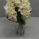 Artificial Hydrangea Flowers in Glass Vase with Faux Water, 13.8" Fake Cream Hydrangeas Arrangement Centerpiece for Home Caf Kitchen Bathroom Decoration (White)