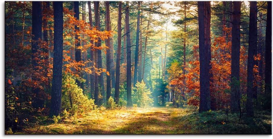Autumn Forest Large Stretched Canvas Wall Art For Living Room Bedroom Home Decoration,Mordern Morning Sunlight Wood Print Picture Painting Decor Giclee Artwork,Gallery Wrapped Gift,Inner Frame(30x60) (60L" x 30W", Vivid Nature Grove Scenery)