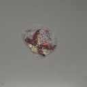 NewEleven Book Lovers Gifts - Cute Present, Book Lover Gifts for Women, Men, Reader - Book Ornaments for Christmas Tree from Friend, Family - Christmas Orrnament