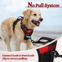 rabbitgoo Dog Harness No Pull with 2 Leash Clips, Adjustable Soft Padded, Reflective Oxford No Choke Pet Vest with Easy Control Handle for Medium Sized Dogs, Red Plaid, M
