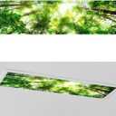 1 Pc 1 x 4 Feet Covers for Ceiling Lights Magnetic Ceiling Light Cover with 8 Magnets for School Classroom Home Office Drop Lamp Decor (Forest)