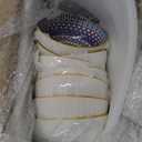 Noamus 8  Pack Small Ceramic Bowls Set, 10Oz Colorful Dessert Bowl, 4.5Inch Ice Cream Bowls, Porcelain Boho Decorative Bowl for Snack Soup Condiments, Side Dishes, Kitchen, Microwave Safe (4 Styles)