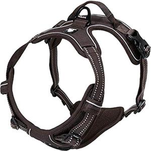 TRUE LOVE Adjustable No-Pull Dog Harness Reflective Pup Vest Harnesses Comfortable Control Brilliant Colors Truelove TLH5651(Brown,L) TRUE LOVE Adjustable No-Pull Dog Harness Reflective Pup Vest Harnesses Comfortable Control Brilliant Colors Truelove TLH5651(Brown,L)