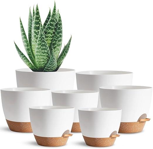 self watering planters